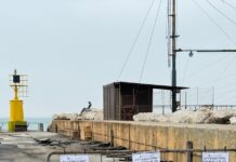 Molo Sud Senigallia, domani la rimozione dei detriti dopo le mareggiate