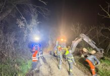 Carignano, quercia crolla sulla strada: quattro famiglie isolate, accesso ripristinato alle 21.30
