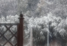 Neve a Fano, l’appello del sindaco Serfilippi: «Lasciate libere le strade di campagna»