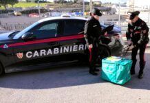 Trasporto organi da Pavia ad Ancona a bordo della supercar dei Carabinieri