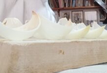 Barometro delle Cipolle di Urbania: il 2026 sarà un anno instabile e piovoso