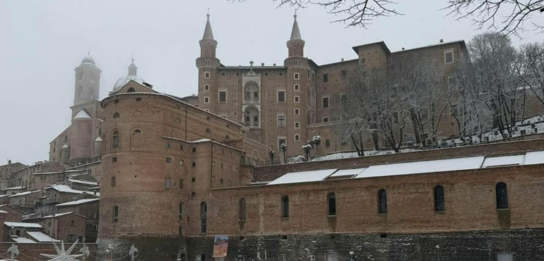 Urbino