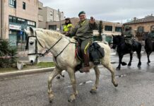 Pesaro – Piazza del Popolo, animali protagonisti: grande partecipazione alla Benedizione di Sant’Antonio