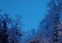 Neve, la Provincia al lavoro: riaperte le principali strade