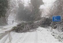 Maltempo nel Pesarese: neve diffusa, attivi 58 mezzi sgombraneve sulle provinciali