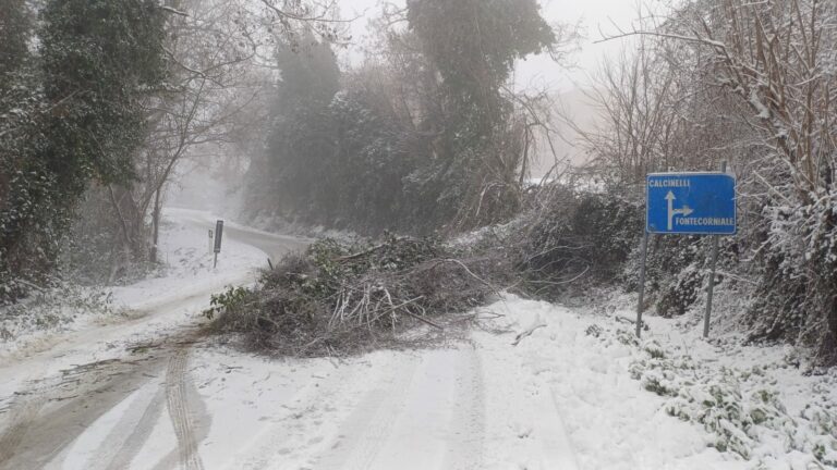 Maltempo nel Pesarese: neve diffusa, attivi 58 mezzi sgombraneve sulle provinciali
