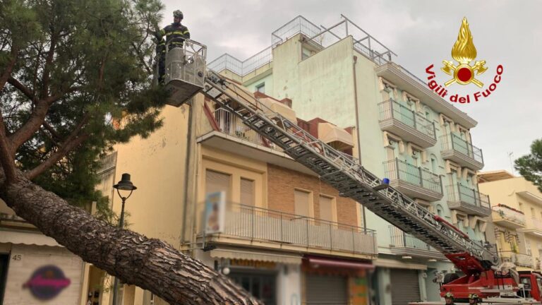 Gabicce Mare, albero su una palazzina: intervengono i VVF