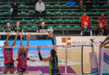 La Megabox Vallefoglia lotta ma cede 1-3: la Igor decide nei finali punto a punto