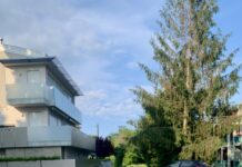 Tratta Fano–Urbino, Fano Cresce: “Basta slogan, servono dati, trasparenza e scelte responsabili”