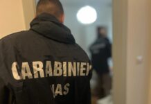 Carni senza controlli e locali sporchi: scattano chiusure e maxi multe nel Pesarese