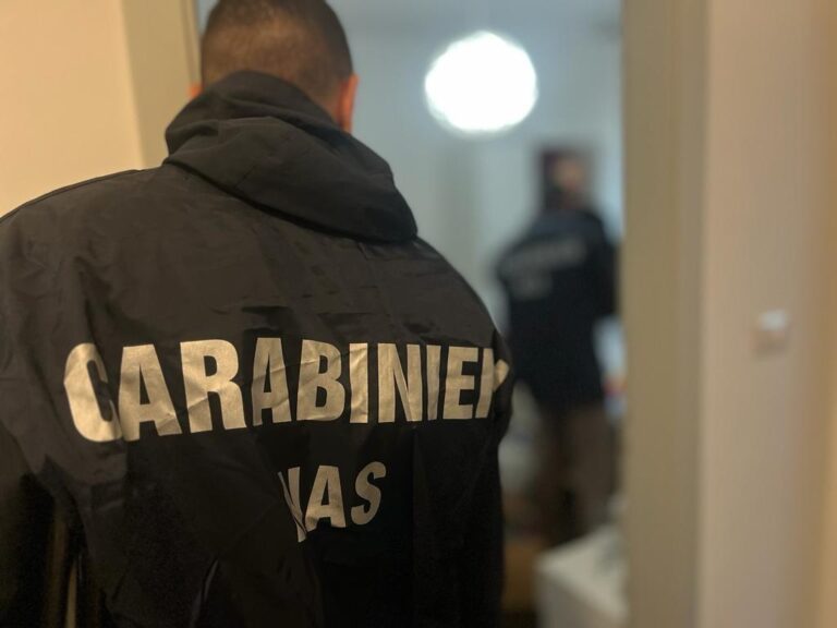 Carni senza controlli e locali sporchi: scattano chiusure e maxi multe nel Pesarese