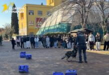 Guardia di Finanza nelle scuole: educazione alla legalità economica in provincia di Pesaro-Urbino