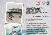 Conosciamo il nostro mare: scienza, biodiversità e futuro dell’Adriatico a Fano