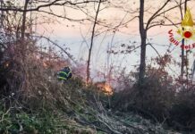 Incendio boschivo a Cagli, fiamme al confine con l’Umbria: intervento dei Vigili del Fuoco