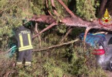 Maltempo, oltre cento interventi dei Vigili del Fuoco: 26 in provincia di Pesaro-Urbino