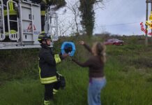 Fano, gatto si arrampica su un albero alto 10 metri: salvato dai VVF
