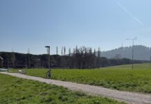 Pesaro, studenti ripuliscono il Campus dopo la festa dei cento giorni. Biancani: «Segnale positivo per la città»