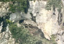 Furlo, telecamere e sale multimediali per osservare il nido dell’aquila reale