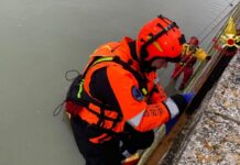 Senigallia, cadavere nel fiume Misa: recuperato dai sommozzatori dei Vigili del Fuoco