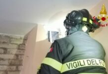 Cartoceto: gatto intrappolato nella canna fumaria, salvato dai Vigili del Fuoco