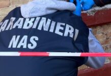 Acqualagna, Nas chiudono temporaneamente un ristorante: sequestrati 60 chili di carne non tracciata