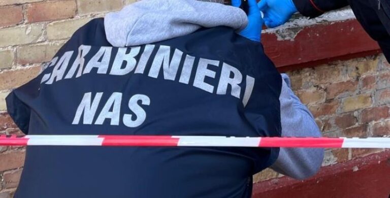 Acqualagna, Nas chiudono temporaneamente un ristorante: sequestrati 60 chili di carne non tracciata