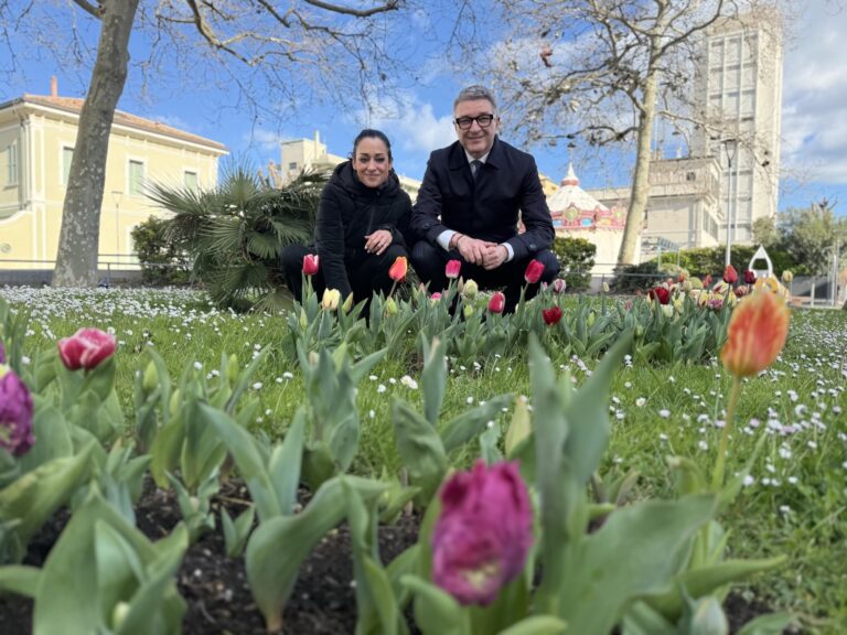 Pesaro, 470 tulipani per i nati nel 2025: fiorisce il “Giardino della vita”