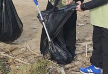 14 chili di rifiuti raccolti in zona porto a Senigallia