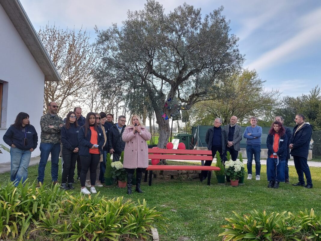 WhatsApp Image 2026-03-23 at 06.24.12