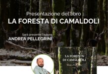 Alla Memo “La foresta di Camaldoli” di Andrea Pellegrini