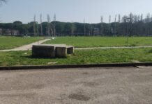 Campus ripulito dagli studenti delle quinte dopo i bivacchi, Paolini: “Plauso ai dirigenti scolastici, insieme si vince”