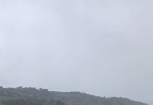 Mareggiata, pulizia spiagge di Marche Multiservizi: 50 tonnellate di legname