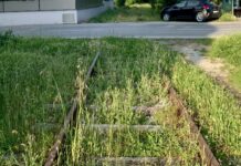 Fano Cresce: “Studio conferma, ferrovia Fano-Urbino irrealistica. Priorità alla ciclovia del Metauro”