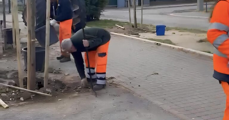 Fano, in corso la messa a dimora di 130 nuove piante in città