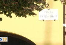 Fano, alberi in piazza Andrea Costa: i residenti chiedono un tavolo di confronto prima dell’abbattimento