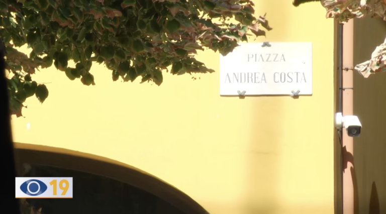Fano, alberi in piazza Andrea Costa: i residenti chiedono un tavolo di confronto prima dell’abbattimento