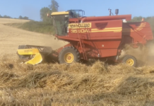 Agricoltura in crisi anche nel Pesarese, costi alle stelle. Gasolio agricolo aumentato fino al 40% (VIDEO)