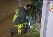 Fuga di gas dopo incidente a Mondolfo, famiglie allontanate