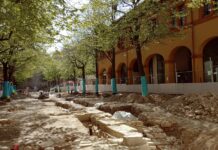 Piazza Andrea Costa, “stop agli abbattimenti”: chiesto un confronto urgente