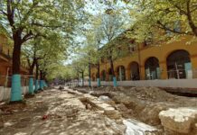 Taglio alberi in piazza Costa, l’Amministrazione: “Ripianteremo il doppio delle essenze in centro storico”