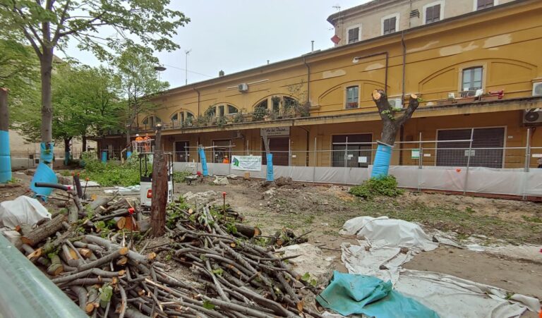 Taglio tigli in Piazza Costa, Quartiere 1: “Nessun confronto”