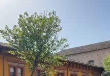 Tigli di Vitruvio, idea Parco a Chiaruccia: la proposta di Noi Moderati