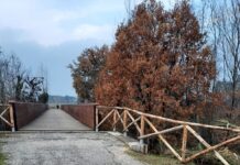 Ponte ciclopedonale tra Vallefoglia e Tavullia, la Provincia riapre al transito