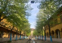 Basilica di Vitruvio, appello dei residenti: “Tutela senza cancellare la piazza”