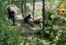 Pesaro – Cavallo cade in un canale, salvato dai Vigili del Fuoco
