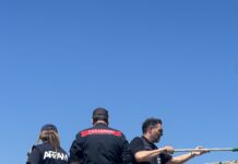 Osimo, sequestrate 500 tonnellate di digestato: due indagati per gestione illecita di rifiuti organici