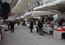 Centrodestra Pesaro: “Mercato, la giunta del caos governa per tentativi. Biancani sindaco della confusione, Galeazzi assessore dell’improvvisazione”
