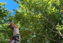 Ponte 2 giugno: al Catria riapre il Fun Village