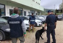 Overdose fatale dopo la cocaina, sgominata rete di spaccio nel Montefeltro: quattro misure cautelari