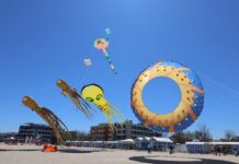 “Un mare di aquiloni”: Fano apre la stagione estiva con un successo straordinario